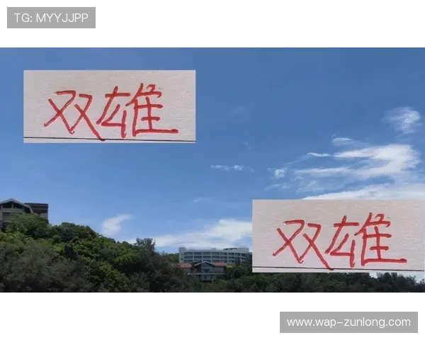 尊龙app新版增加多样化的互动玩法，提升用户参与感和趣味性